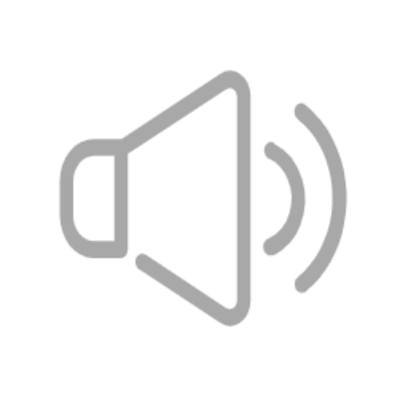 iPhone Speaker Alphen aan den Rijn